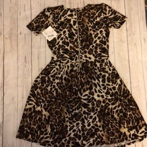 LulaRoe Amelia